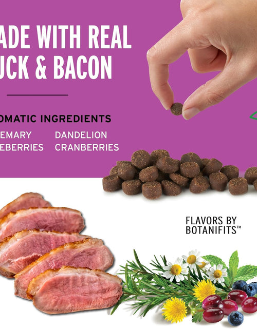 Load image into Gallery viewer, Mini Training Rewards Grain-Free Duck with Bacon Treats for Dogs (1 Pouch), 4 Oz
