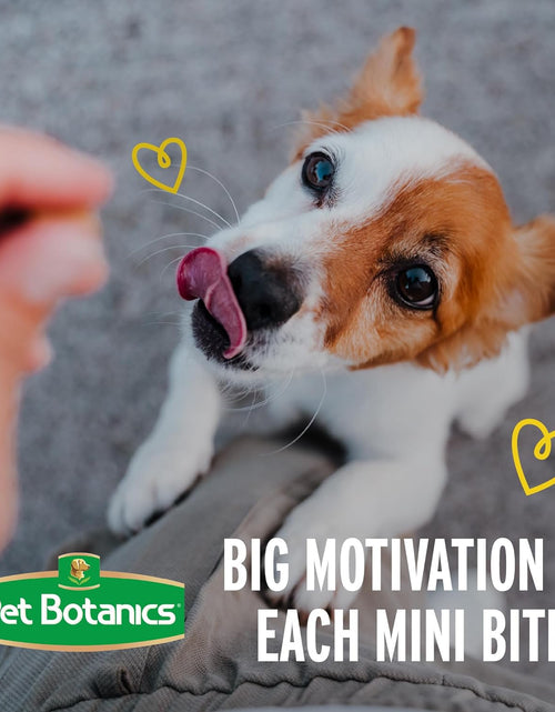 Load image into Gallery viewer, Mini Training Rewards Grain-Free Duck with Bacon Treats for Dogs (1 Pouch), 4 Oz
