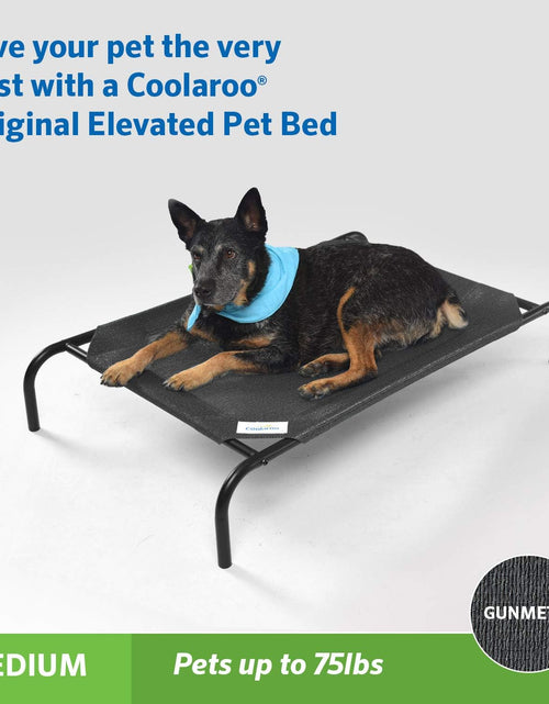 Load image into Gallery viewer, Original Elevated Dog Bed - Breathable Off-The-Ground Pet Bed with Cooling Fabric, Joint Relief &amp; Moisture-Resistant Fabric, 100% Recyclable, Easy Clean, Gunmetal, Medium
